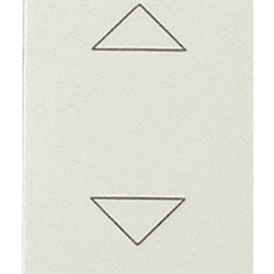 Commutatore 1P 10AX bianco Idea 