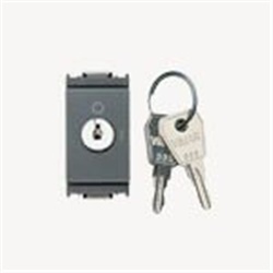 Interruttore 2P 16(3)A chiave unificata grigio montaggio indipendente IP20
