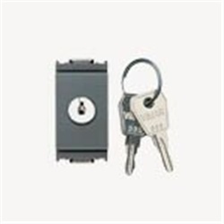 Pulsante 1P NO 16A 250V con chiave unificata grigio per controllo elettrico