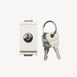 Pulsante 1P NO 16A 250V con chiave unificata bianco per comando elettrico