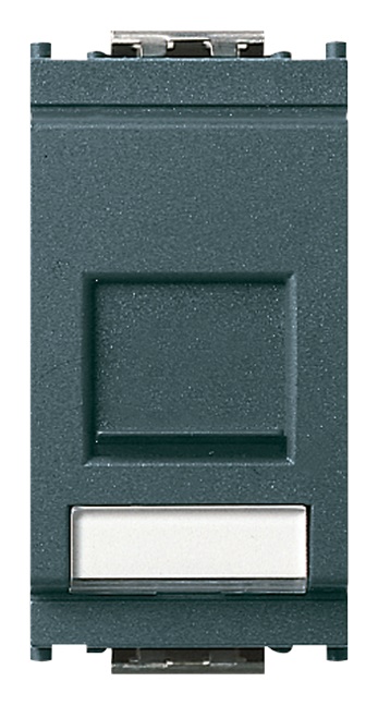 Presa RJ45 Netsafe Cat5e UTP 8 contatti morsetti incisione grigio cablaggio universale T568A/B