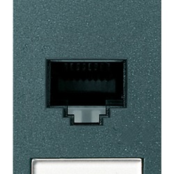 Presa RJ45 Netsafe Cat5e UTP grigio