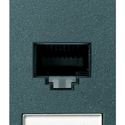 Presa RJ45 Netsafe Cat5e UTP 8 contatti morsetti incisione grigio rete dati