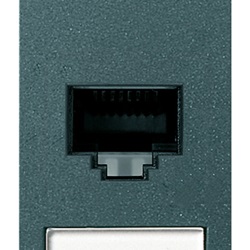 Presa RJ45 Netsafe Cat6 UTP 110 grigio