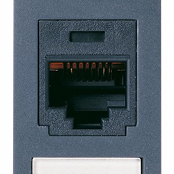 Presa RJ45 Panduit Cat5e UTP grigio