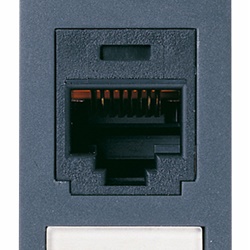 Presa RJ45 Panduit Cat5e UTP 8 contatti cablaggio universale grigio