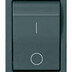 Interruttore MT 1P+N C10 120-230V grigio