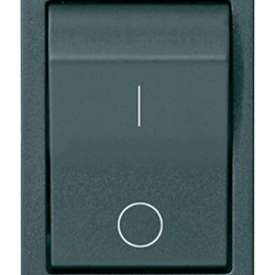 Interruttore MT 1P+N C10 120-230V grigio