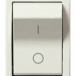 Interruttore MT 1P+N C10 120-230V bianco