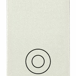 Pulsante 1P NO 10A generico bianco