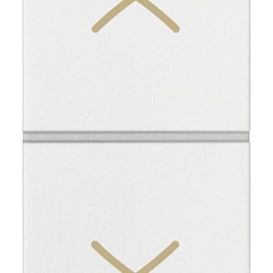 Commutatore 2P 10AX bianco Arkè 