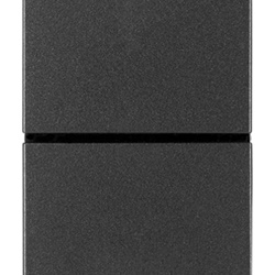 Due pulsanti indipendenti NO+NO 10A 250V grigio per controllo circuiti elettrici