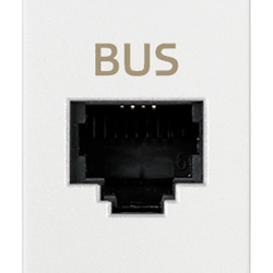 Presa RJ11 speciale morsetti a vite bianco per Bus applicazioni telefoniche