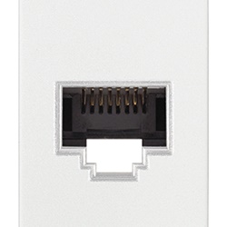Presa RJ45 Netsafe Cat5e UTP 8 contatti morsetti senza utensile bianco rete dati