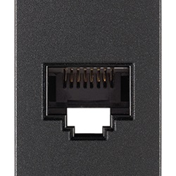 Presa RJ45 Netsafe Cat6 UTP 8 contatti morsetti incisione grigio rete dati