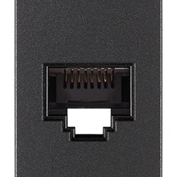 Presa RJ45 Netsafe Cat6A UTP grigio