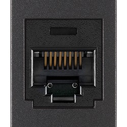 Presa RJ45 Panduit Cat5e UTP grigio