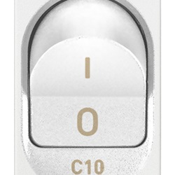 Interruttore MT 1P+N C10 120-230V bianco
