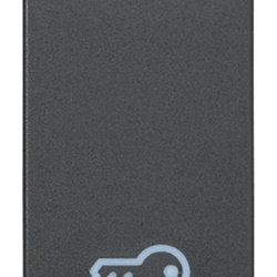 Tasto intercambiabile 1 modulo simbolo chiave illuminabile grigio per impianti elettrici
