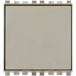 Pulsante targhetta 1P NO 10A Next