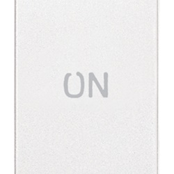 Pulsante 1P 10A 250V contatti NO+NC simbolo ON colore bianco uso elettrico industriale