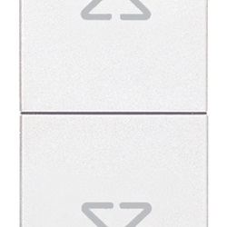 Commutatore 2P 10AX bianco Eikon 