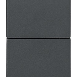 Due pulsanti indipendenti NO+NO 10A 250V grigio per comandi elettrici semplice uso