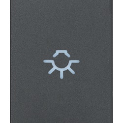 Tasto intercambiabile 1 modulo simbolo luce assiale illuminabile grigio per comandi elettrici