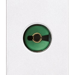 Presa TV semplice 40-862 MHz con connettore femmina IEC bianco