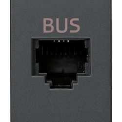 Presa RJ11 speciale grigia con morsetti a vite per bus di comunicazione
