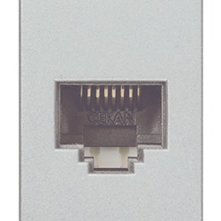 Presa RJ45 Netsafe Cat5e UTP Next