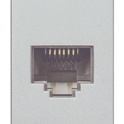 Presa RJ45 Netsafe Cat5e UTP 8 contatti cablaggio universale T568A/B Next