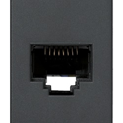 Presa RJ45 Netsafe Cat5e UTP grigio