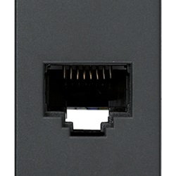 Presa RJ45 Netsafe Cat6 UTP grigio