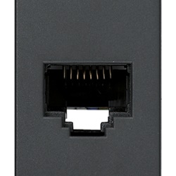 Presa RJ45 Netsafe Cat6 UTP 8 contatti morsetti incisione grigio rete dati