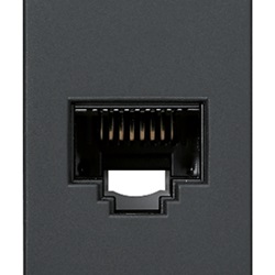 Presa RJ45 Netsafe Cat5e UTP 110 grigio