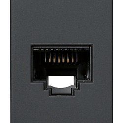 Presa RJ45 Netsafe Cat5e UTP 8 contatti morsetti incisione 110 grigio rete dati