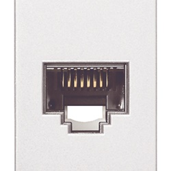 Presa RJ45 Netsafe Cat5e UTP 8 contatti morsetti incisione isolante bianco cablaggio universale T568A/B
