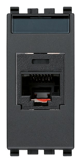 Presa RJ45 Panduit Cat5e UTP grigio