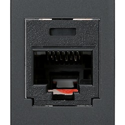 Presa RJ45 Panduit Cat5e UTP grigio