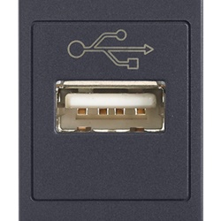 Presa USB standard morsetti a vite grigio per installazioni elettriche