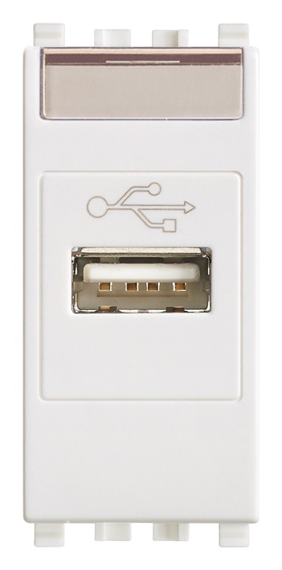 Presa USB standard bianco morsetti a vite per installazioni elettriche