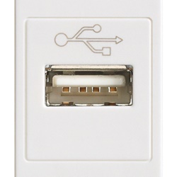 Presa USB standard bianco morsetti a vite per installazioni elettriche