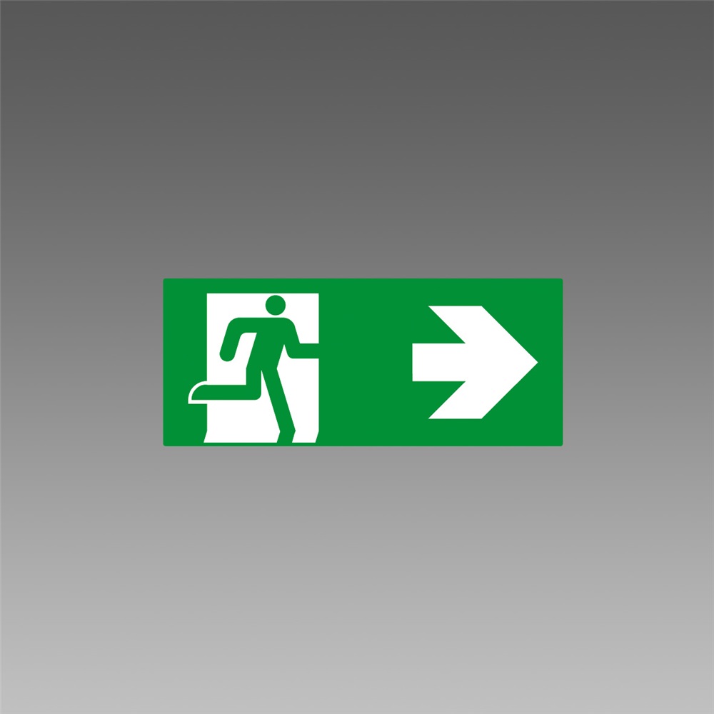 ETICHETTA EXIT SAFETY 323 VERDE