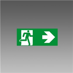 ETICHETTA EXIT SAFETY 323 VERDE