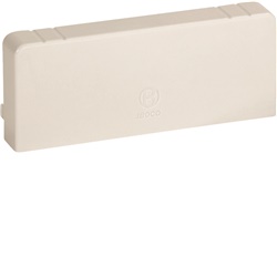 Terminale bianco LAN 100x40 mm 