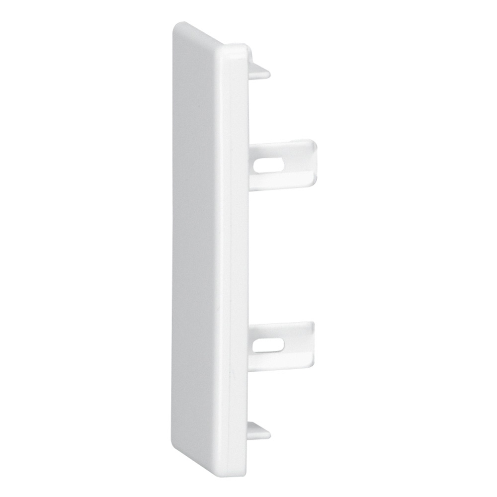 DLP-TERMINALE STANDARD X MINI 75X20