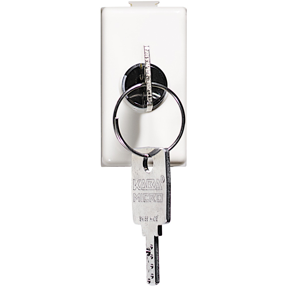 Deviatore elettrico 2 poli 16A comando chiave sicurezza applicazioni elettriche standard