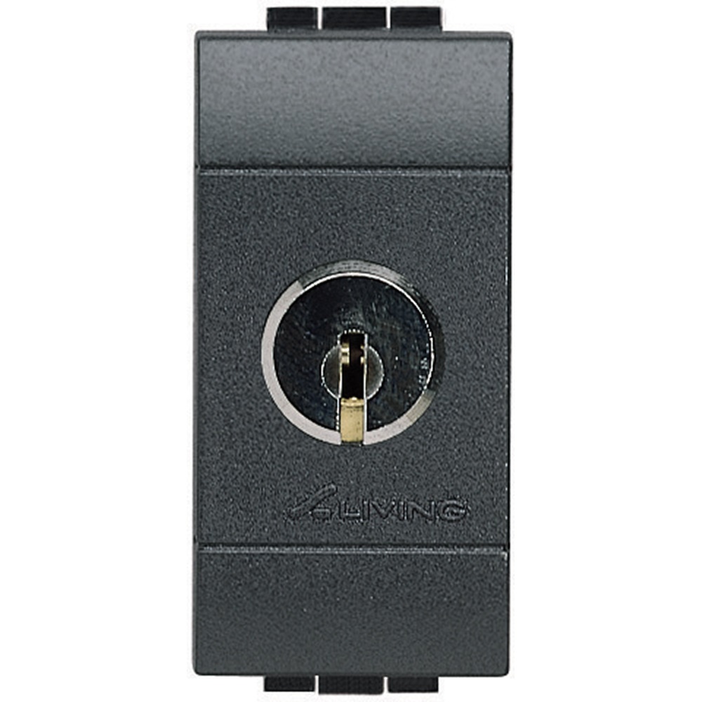Interruttore 2P 16A chiave estraibile posizione ON/OFF chiavi uguali antracite living int
