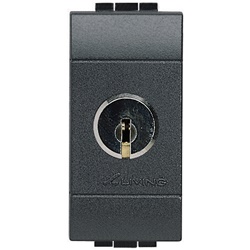 Interruttore 2P 16A chiave estraibile posizione ON/OFF chiavi uguali antracite living int